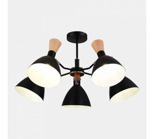 Люстра на штанге EVOLUCE VISTA SLE1256-402-05