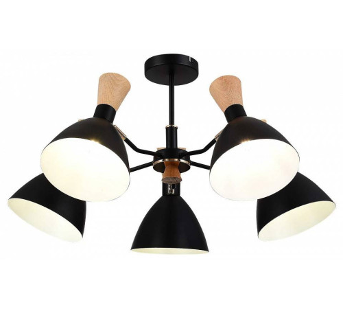 Люстра на штанге EVOLUCE VISTA SLE1256-402-05