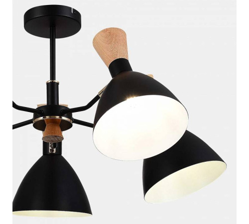 Люстра на штанге EVOLUCE VISTA SLE1256-402-05