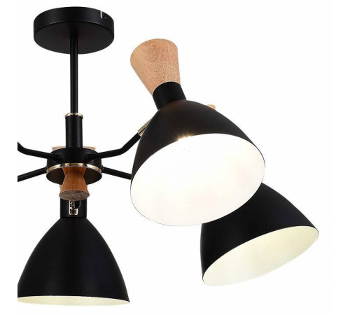 Люстра на штанге EVOLUCE VISTA SLE1256-402-05