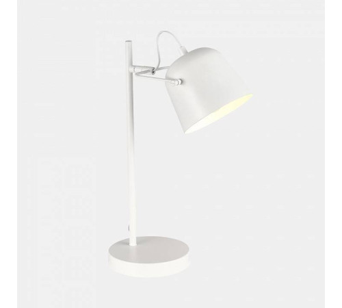 Настольная лампа офисная EVOLUCE Blank SLE1805-504-01