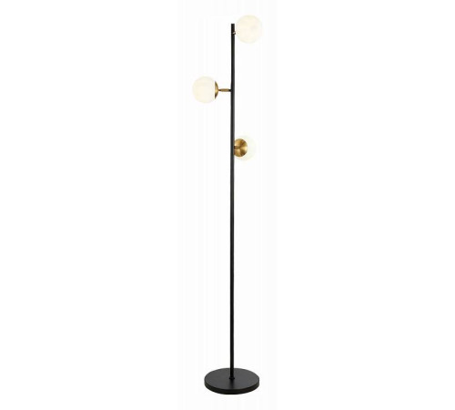 Торшер Evoluce Forli SLE220405-03
