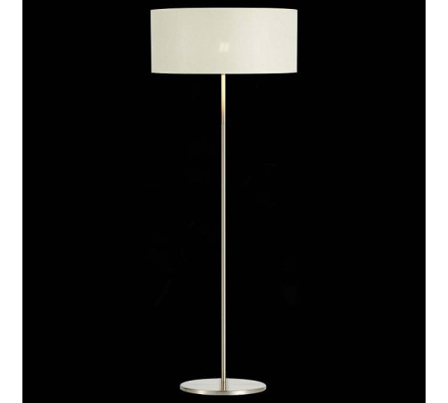 Торшер Evoluce Brescia SLE300555-01