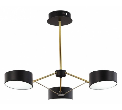 Люстра на штанге EVOLUCE Valle SLE6005-402-03