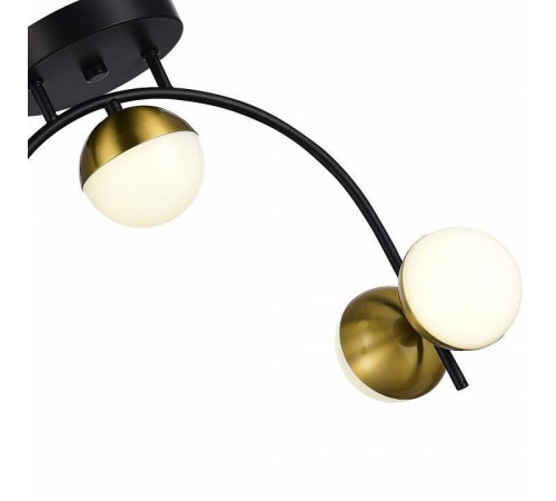 Потолочная люстра EVOLUCE Aarnio SLE6500-402-04