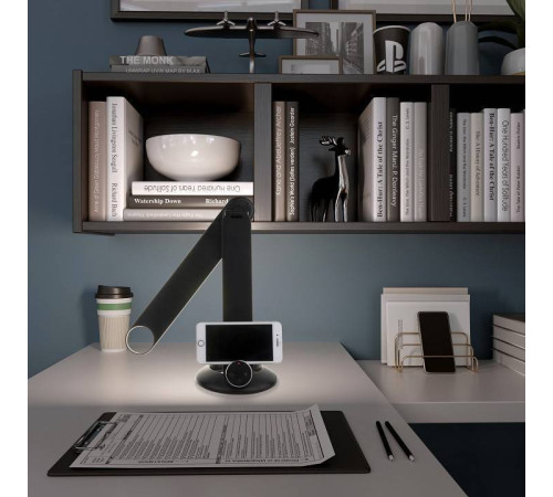 Настольная лампа офисная Eurosvet Action 80428/1