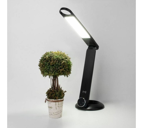 Настольная лампа офисная Eurosvet Action 80428/1