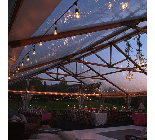 Гирлянда Супернить [NONE] Feron CL50-25-1 41866