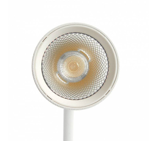 Светильник на штанге Feron MGN303 41945