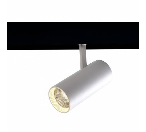 Светильник на штанге Feron MGN303 41945