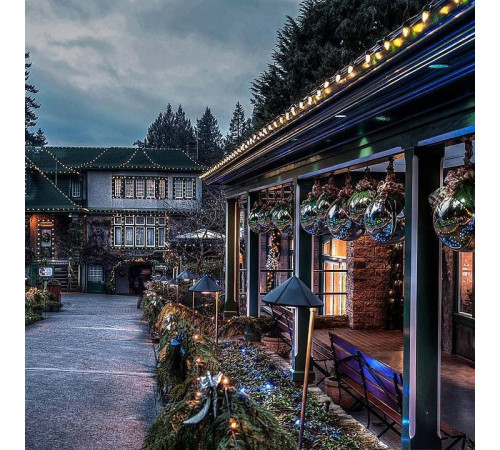 Гирлянда Супернить Feron CL25-100 48167