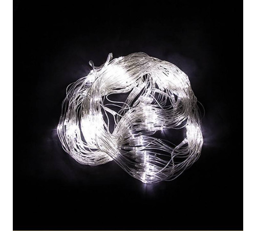 Сеть световая Feron CL31 48173