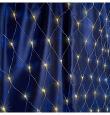 Сеть световая Feron CL31 48174