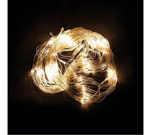 Сеть световая Feron CL31 48174