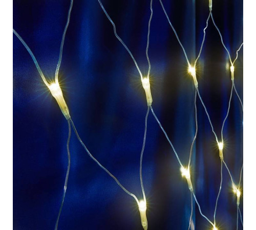 Сеть световая Feron CL31 48174