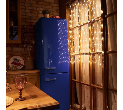 Сеть световая Feron CL31 48175