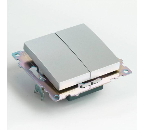 Выключатель двухклавишный без рамки Stekker Катрин 49168