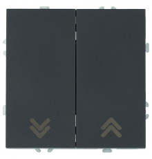 Выключатель самовозвратный двухклавишный без рамки Stekker Эмили 50327