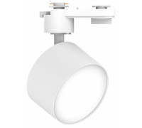 Светильник на штанге Feron AL138 51179