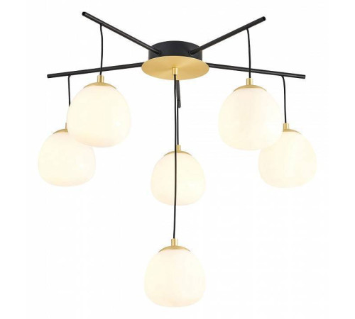 Потолочная люстра Favourite Paramount 3047-6P