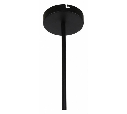 Подвесная люстра F-promo Ducan 3094-8P