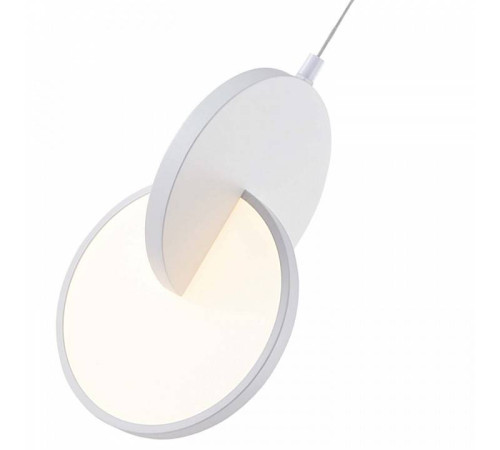 Подвесной светильник F-promo Grahan 4610-1P