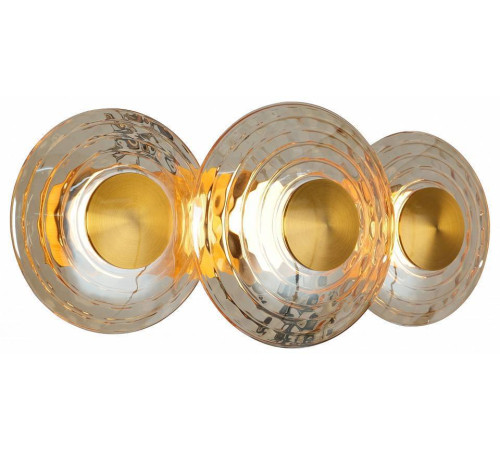 Накладной светильник Favourite Claros 4641-3W