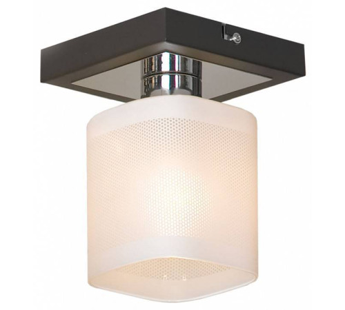 Светильник на штанге Lussole Costanzo GRLSL-9007-01