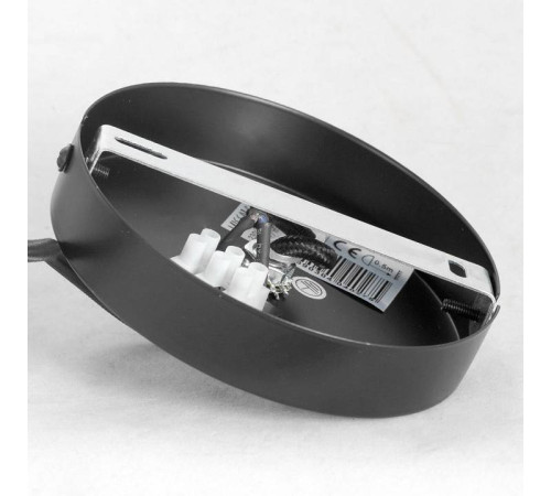 Подвесной светильник Lussole Strawberry GRLSP-8212