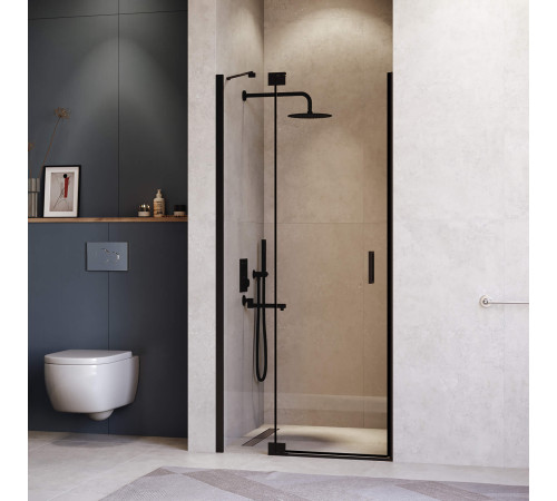 Душевая дверь RGW Hotel HO-014B 900 мм черный 350601409-14