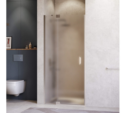 Душевая дверь RGW Hotel HO-014 1100 мм 350601411-21