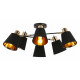 Люстра на штанге ILLUMICO Abelie IL6116-6COU-79 BK GD Abelie