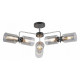 Люстра на штанге ILLUMICO IL8249-6COU-79 BK CR