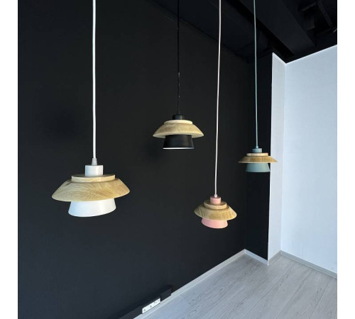 Подвесной светильник Imperiumloft Eco ECO1