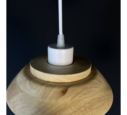 Подвесной светильник Imperiumloft Eco ECO1