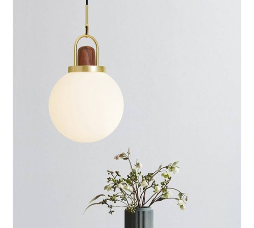 Подвесной светильник Imperiumloft Arc Globe 101295-26