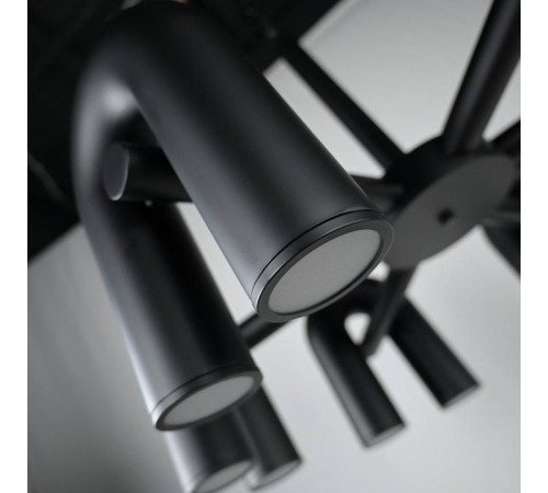 Подвесная люстра Imperiumloft FANNY Black fanny01