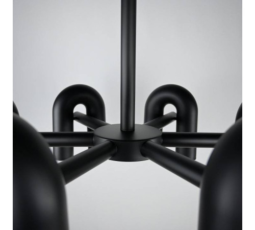 Подвесная люстра Imperiumloft FANNY Black fanny01