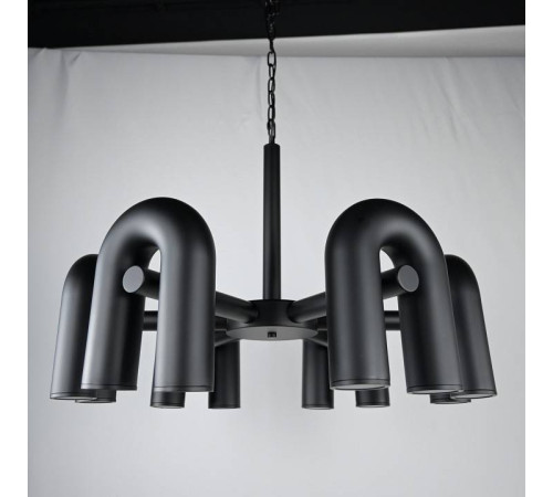 Подвесная люстра Imperiumloft FANNY Black fanny01