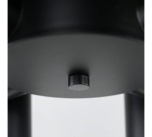 Подвесная люстра Imperiumloft FANNY Black fanny01