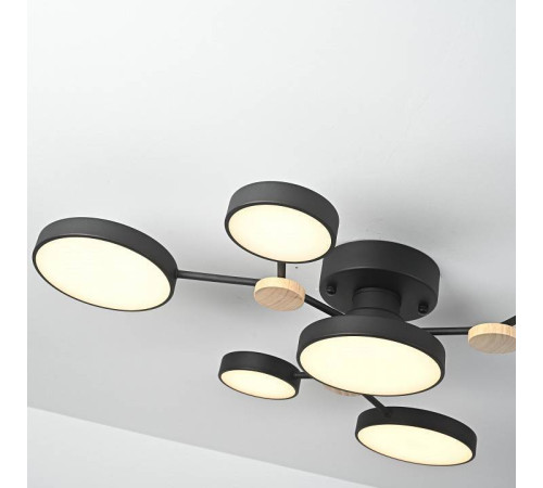 Потолочная люстра Imperiumloft GAMMA gamma01