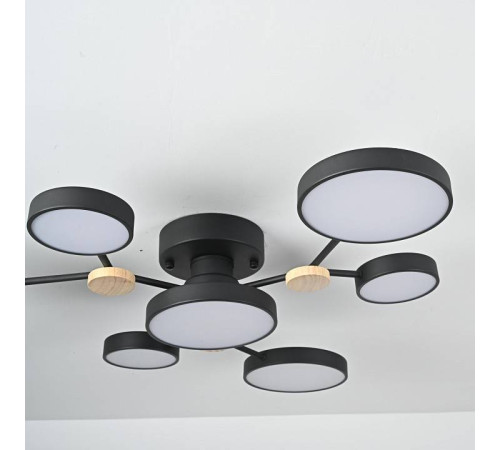 Потолочная люстра Imperiumloft GAMMA gamma01