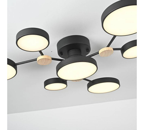 Потолочная люстра Imperiumloft GAMMA gamma01