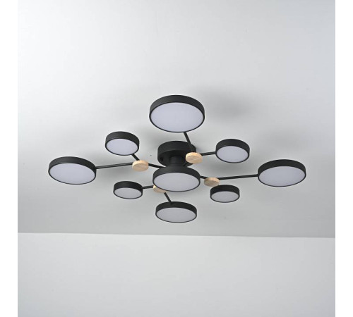 Потолочная люстра Imperiumloft GAMMA gamma01