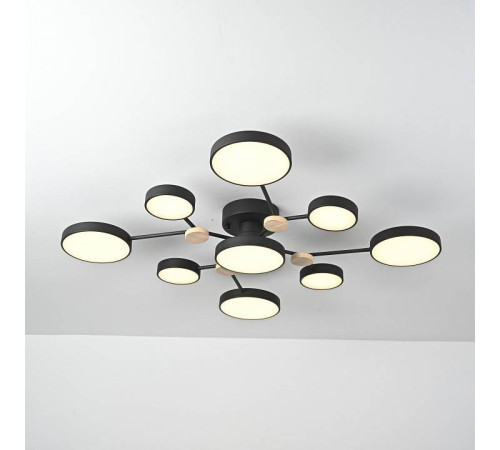 Потолочная люстра Imperiumloft GAMMA gamma01