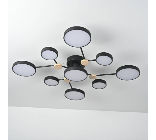 Потолочная люстра Imperiumloft GAMMA gamma01