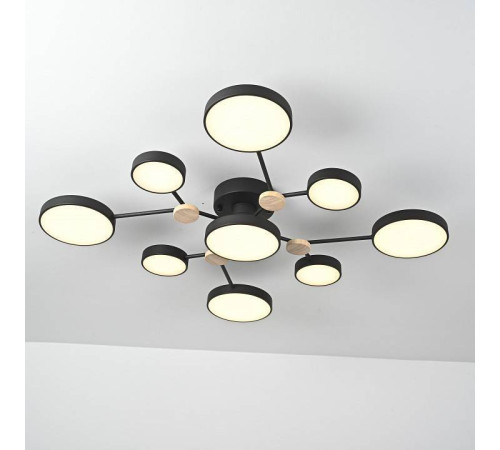 Потолочная люстра Imperiumloft GAMMA gamma01