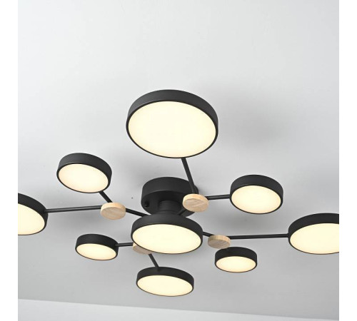 Потолочная люстра Imperiumloft GAMMA gamma01