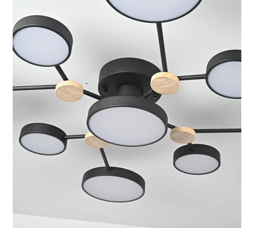 Потолочная люстра Imperiumloft GAMMA gamma01