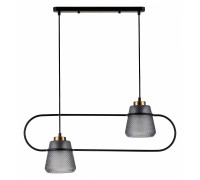 Подвесной светильник Indigo Astratto 11016/2P Black